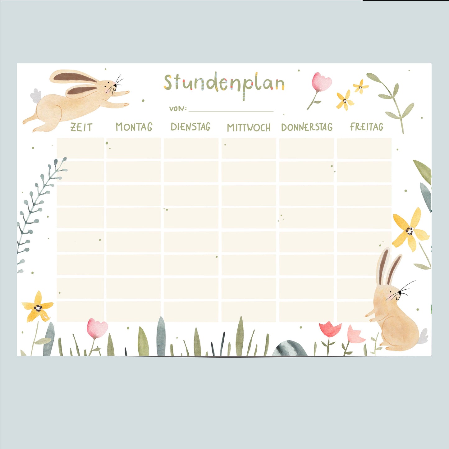 Stundenplan HASE