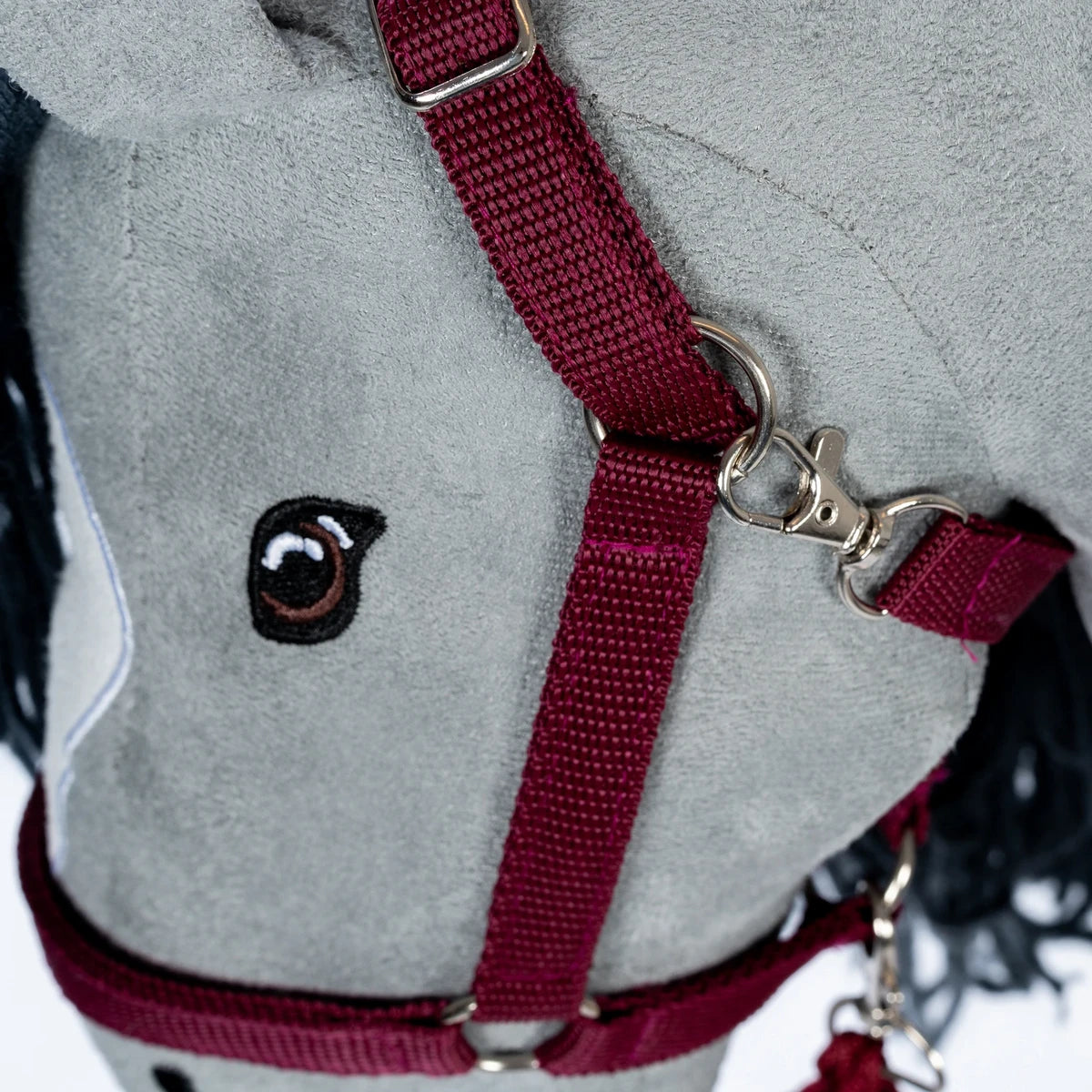 Licol et longe | Rouge foncé pour chevaux de loisir