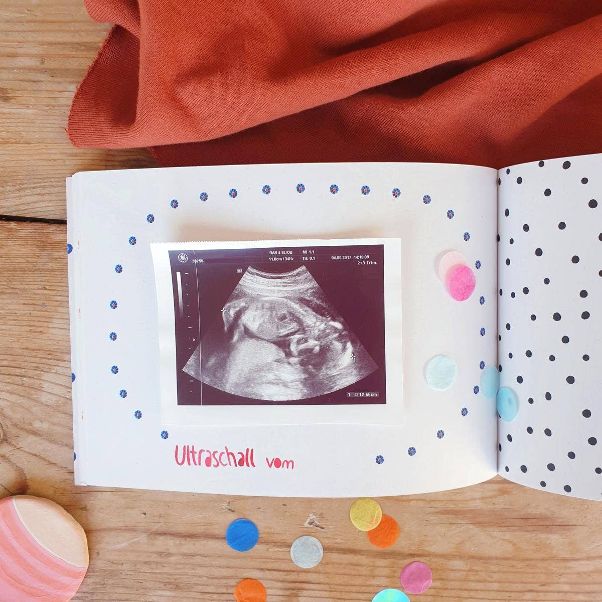 Family Diary Softcover Pregnancy