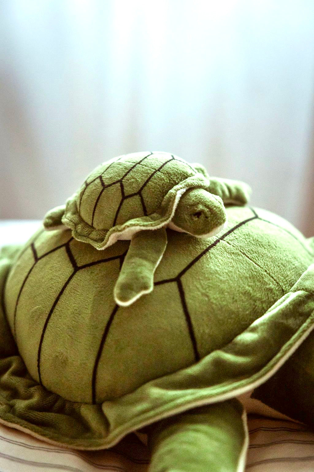 Gewichtete Plüschschildkröte groß 1,6 kg - Sanfter Ruhebringer und starker Beschützer