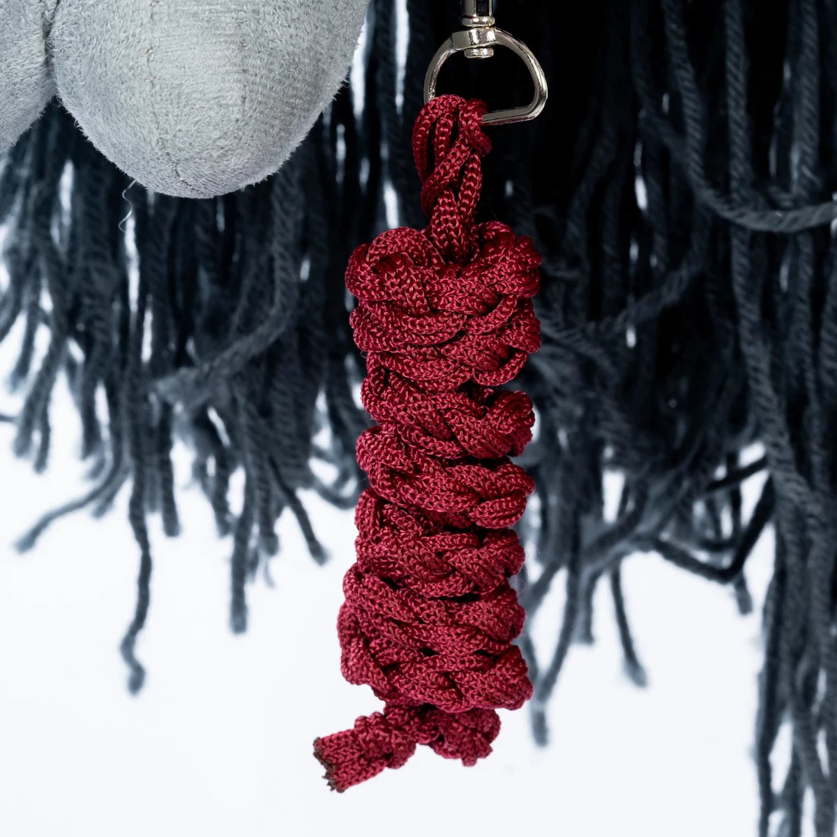 Licol et longe | Rouge foncé pour chevaux de loisir