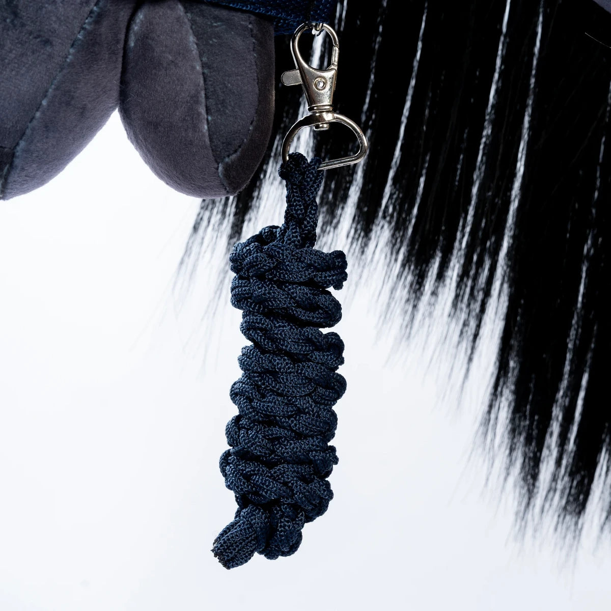 Licol et longe | Bleu pour chevaux de loisir