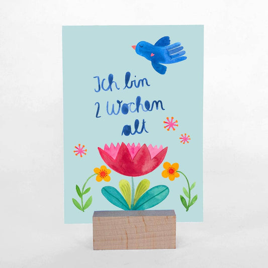 Baby Meilensteinkarten "Hallo Welt"