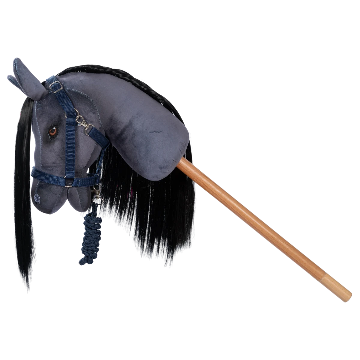 Licol et longe | Bleu pour chevaux de loisir