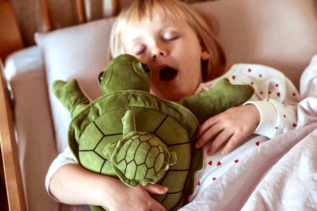 Gewichtete Plüschschildkröte groß 1,6 kg - Sanfter Ruhebringer und starker Beschützer