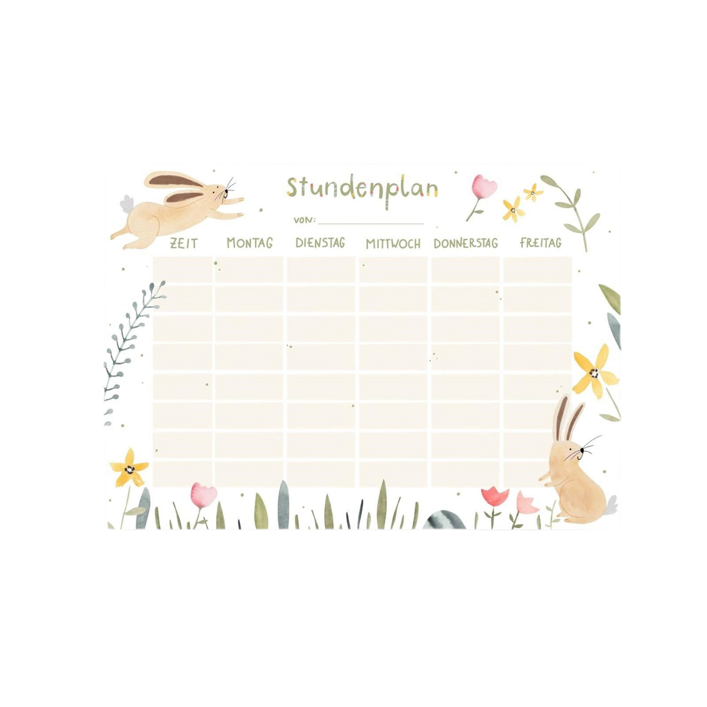 Stundenplan HASE