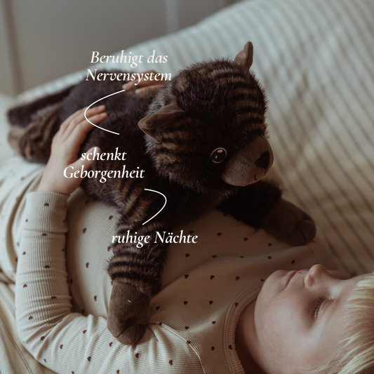 Gewichtete Plüschkatze mittelgroß 1,2 kg - gestreifter Kuschelfreund für Geborgenheit