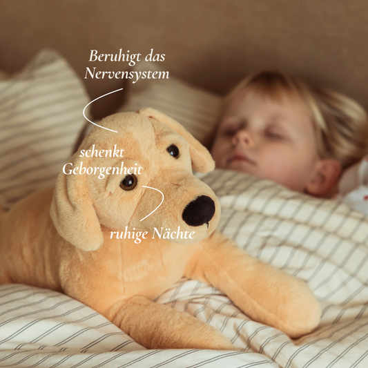 Gewichteter Plüschhund – beruhigender Begleiter groß 2,2 kg