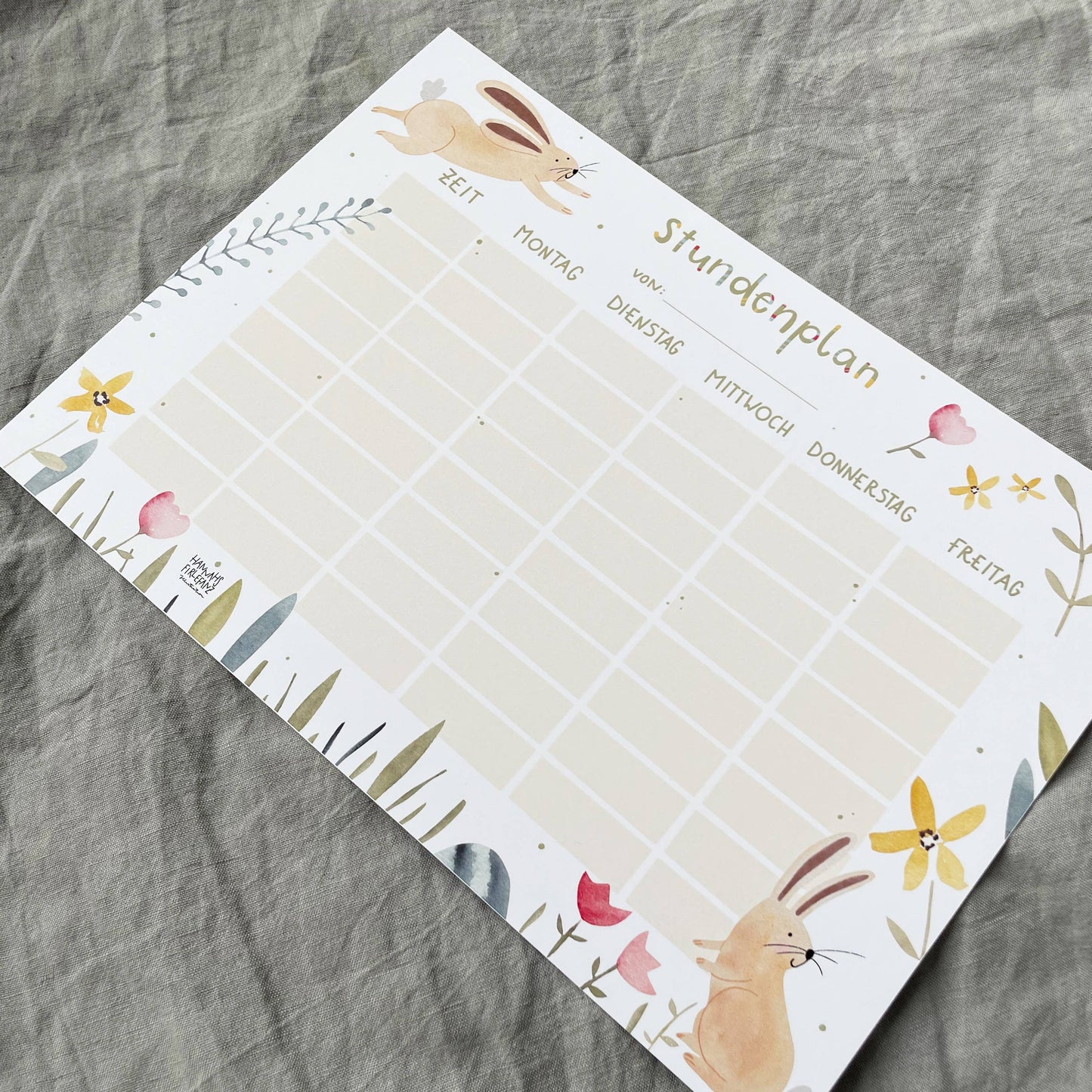 Stundenplan HASE