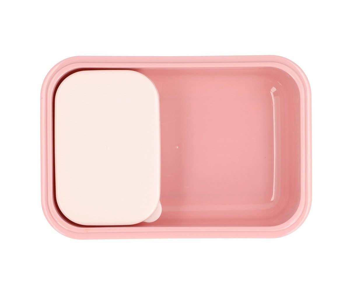 Bento-Bugs-Lunchbox