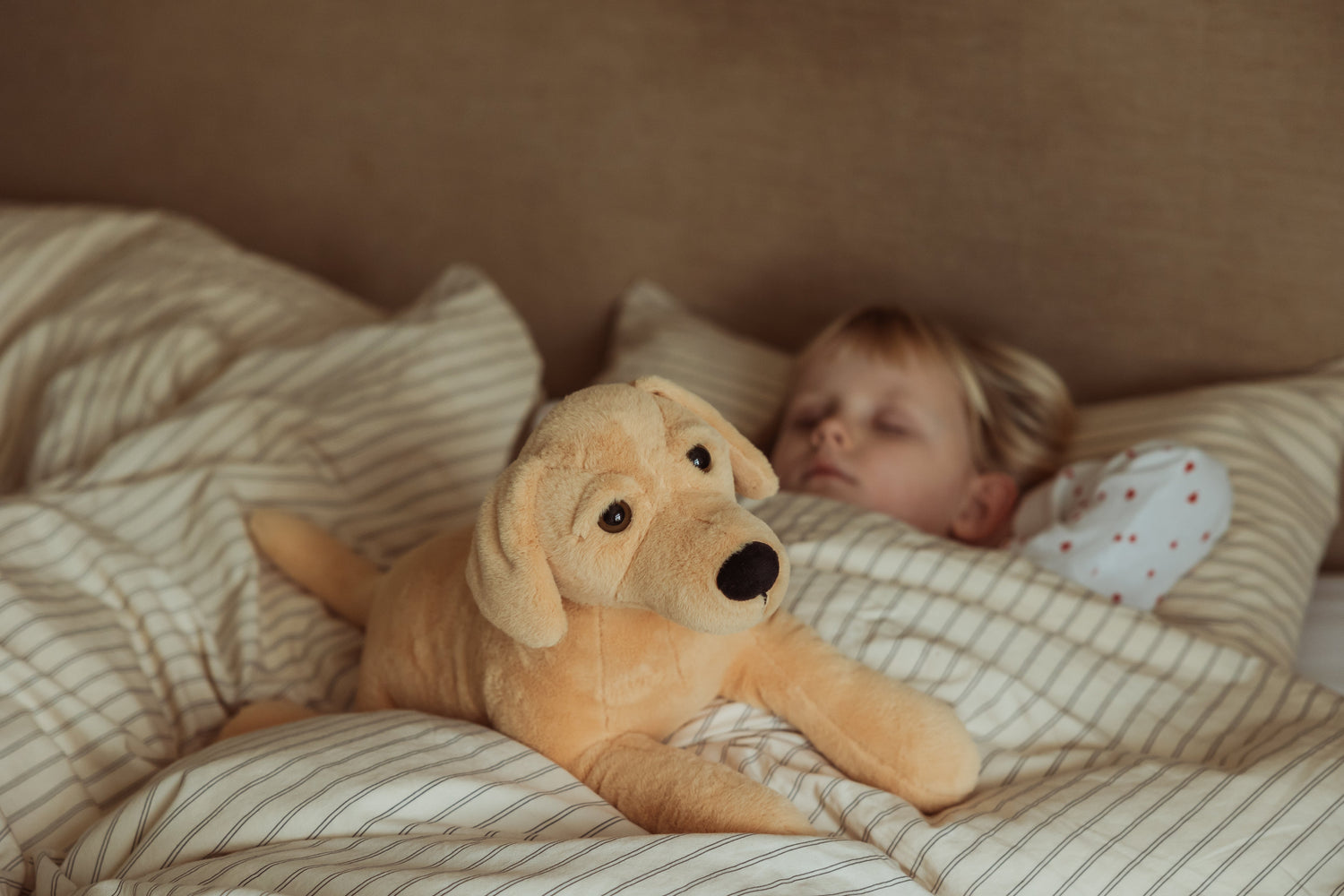 Kuscheltiere & Einschlafhilfe