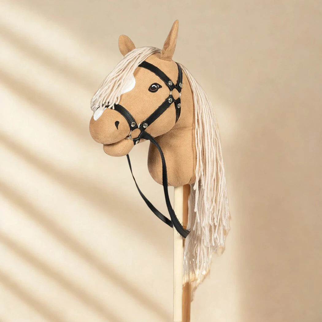 Steckenpferde Hobby Horses