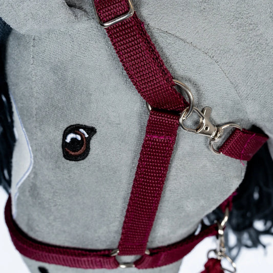 Licol et longe | Rouge foncé pour chevaux de loisir