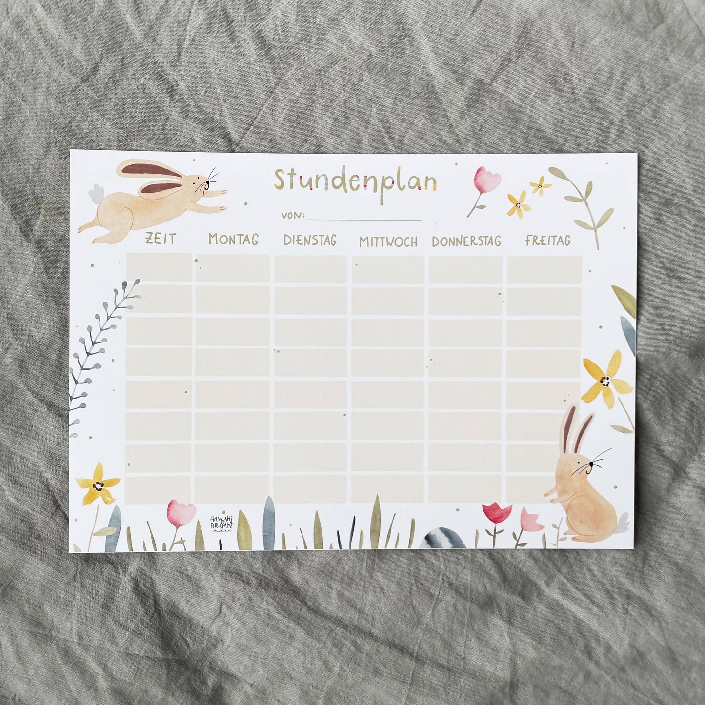 Stundenplan HASE