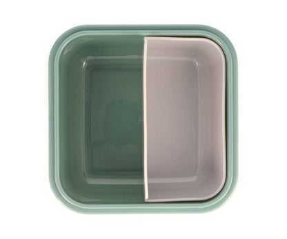 Lunch box large lunch box square dinos world