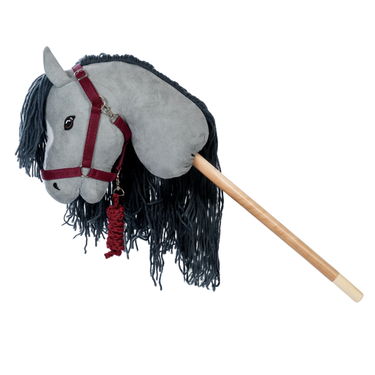 Licol et longe | Rouge foncé pour chevaux de loisir