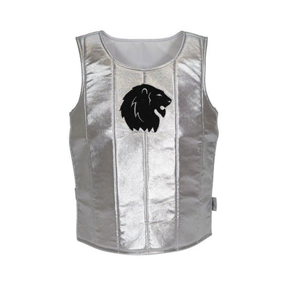 Ritterrüstung Brustpanzer für kleine Steckenpferd Ritter silber