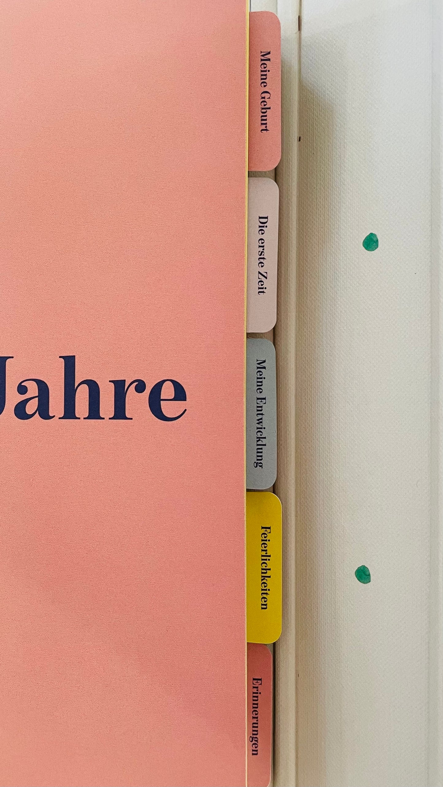 *Meine ersten Jahre* Babyalbum und Kindheitstagebuch