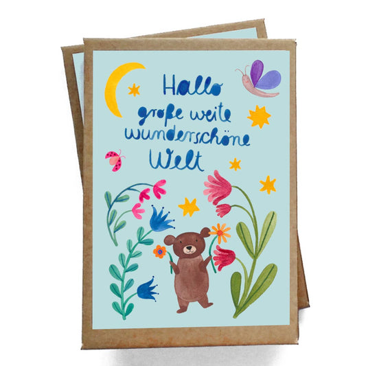 COMING SOON Baby Meilensteinkarten "Hallo Welt"