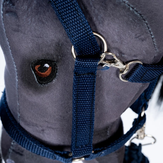 Licol et longe | Bleu pour chevaux de loisir