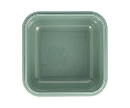 Lunch box large lunch box square dinos world