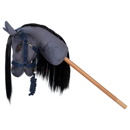 Licol et longe | Bleu pour chevaux de loisir
