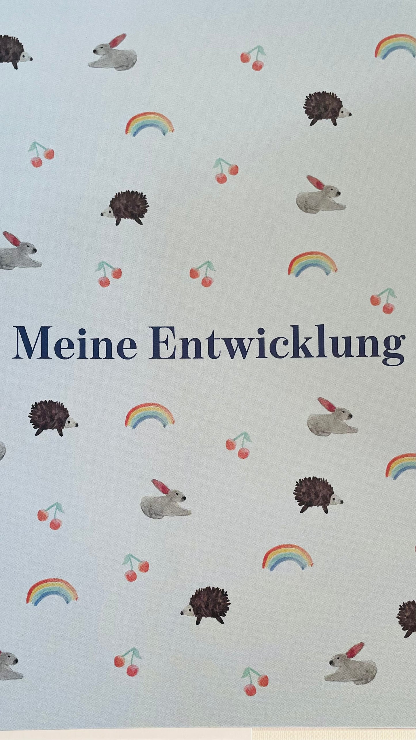 *Meine ersten Jahre* Babyalbum und Kindheitstagebuch