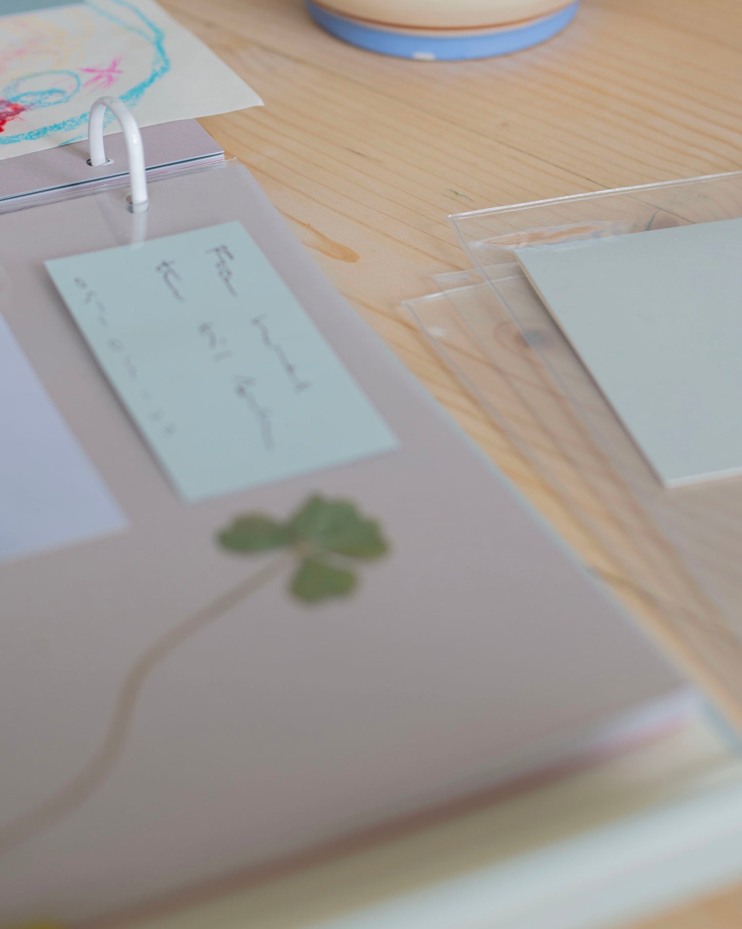 *Meine ersten Jahre* Babyalbum und Kindheitstagebuch