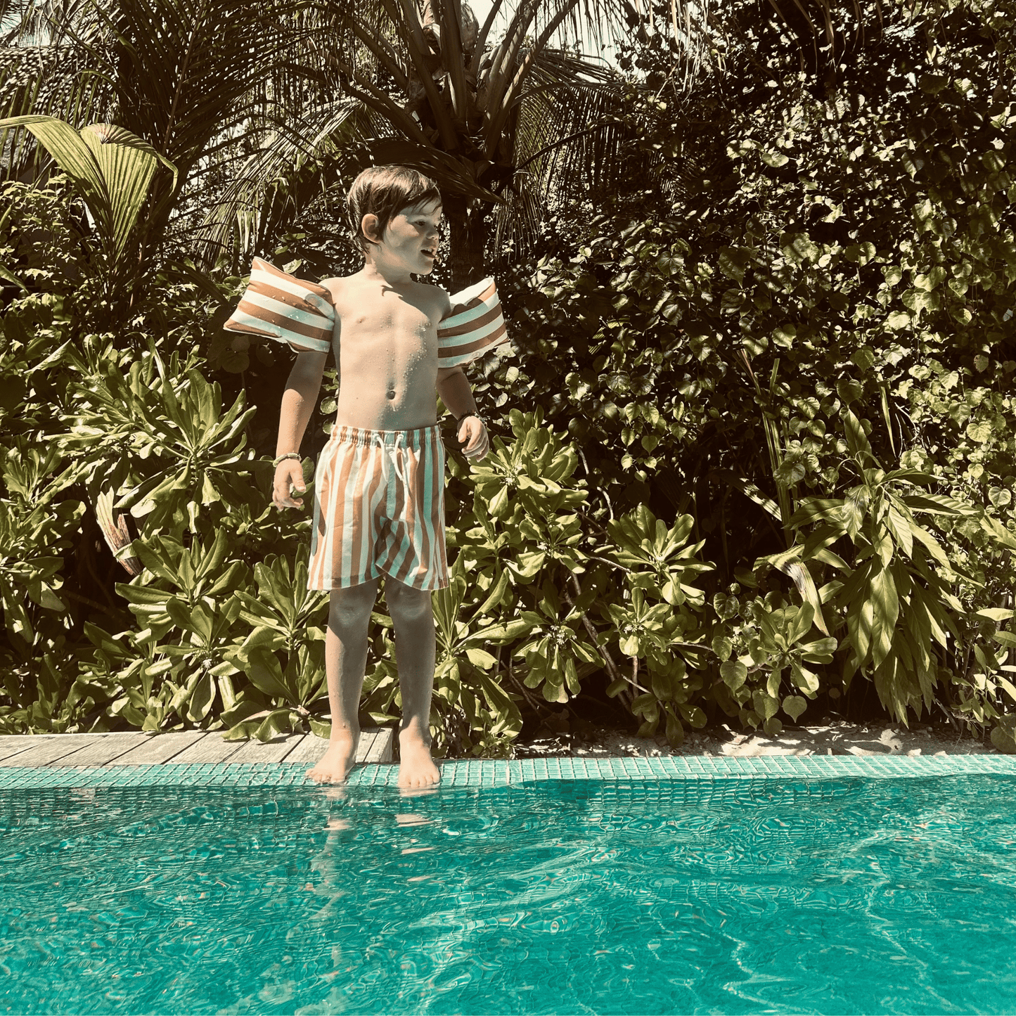 Ailes de natation marron-blanc 2-6 ans LIGNES SOUPLES