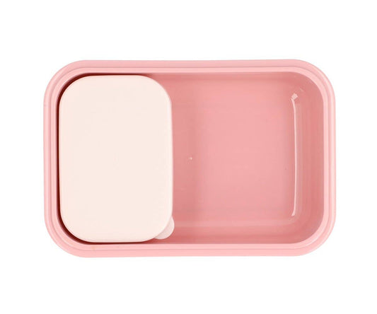 Bento-Bugs-Lunchbox